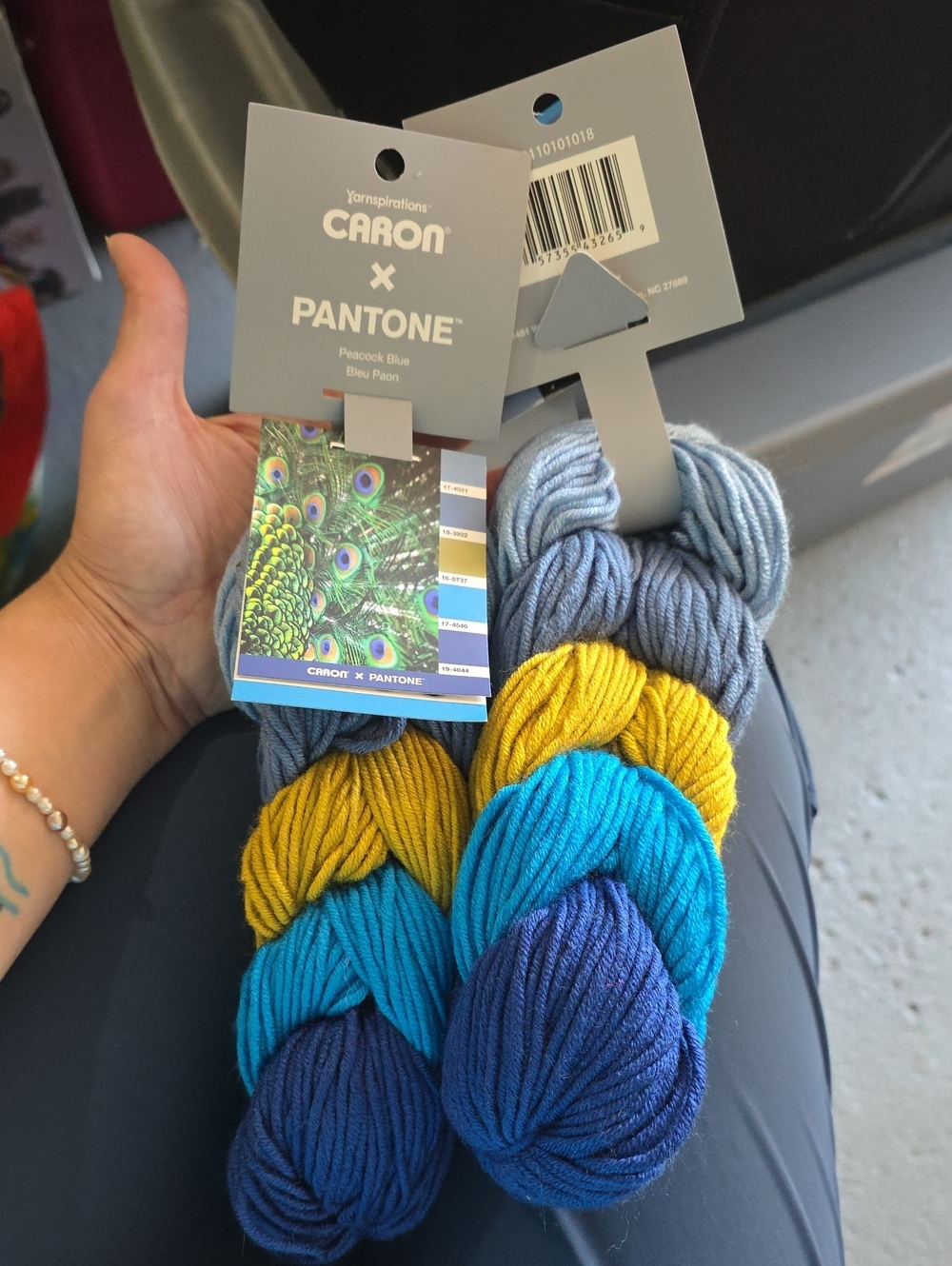 Caron x Pantone Peacock-Inspired Yarn Set - Multi Blue & Yellow